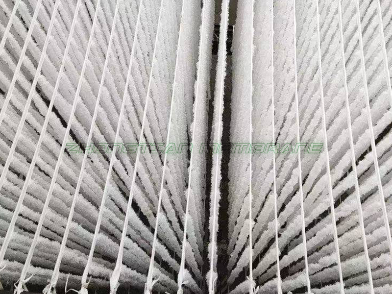 辨式生物填料现场（一）