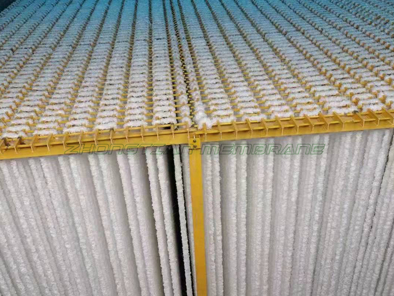 辨式生物填料现场（二）