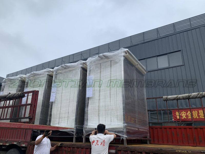 盛夏七月，不抵吾心！